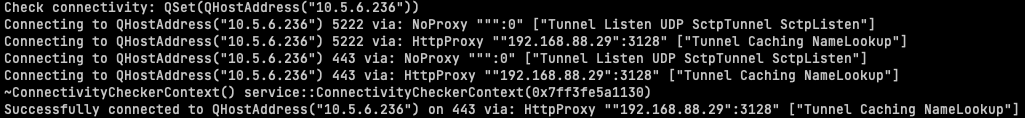 Log Datei mit Verbindungsdetails