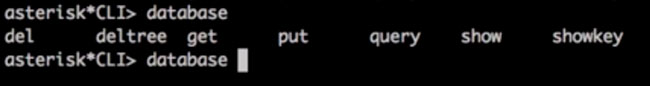 Asterisk phone system database